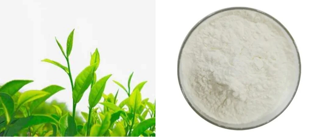 product-1040-450 product-1040-450