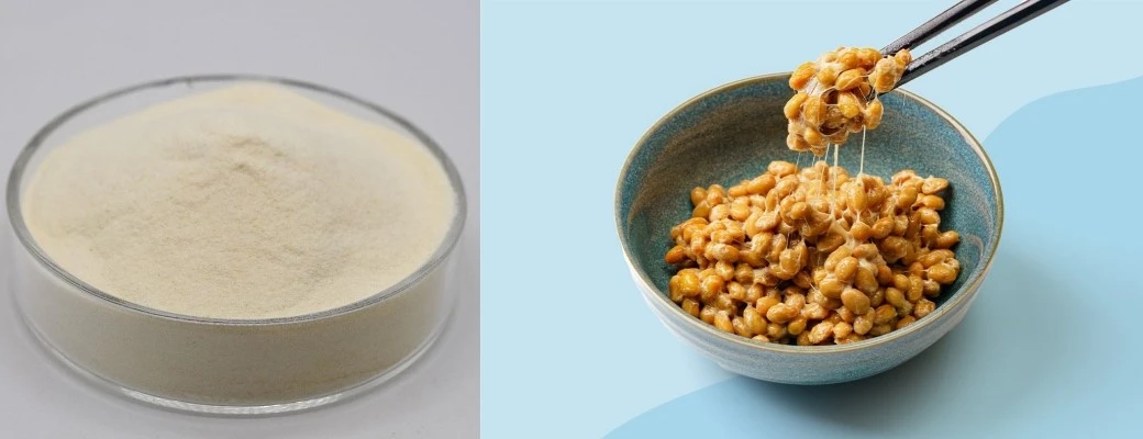 Nattokinase enzyme Nattokinase enzyme