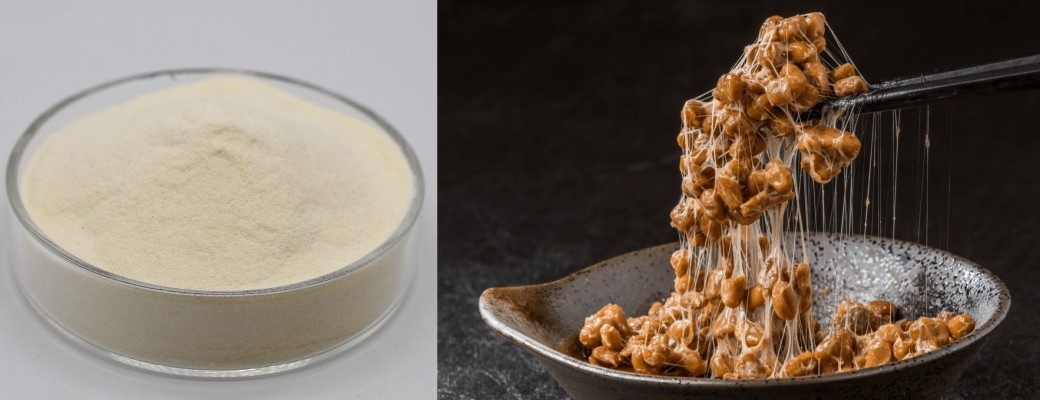 Nattokinase Nattokinase