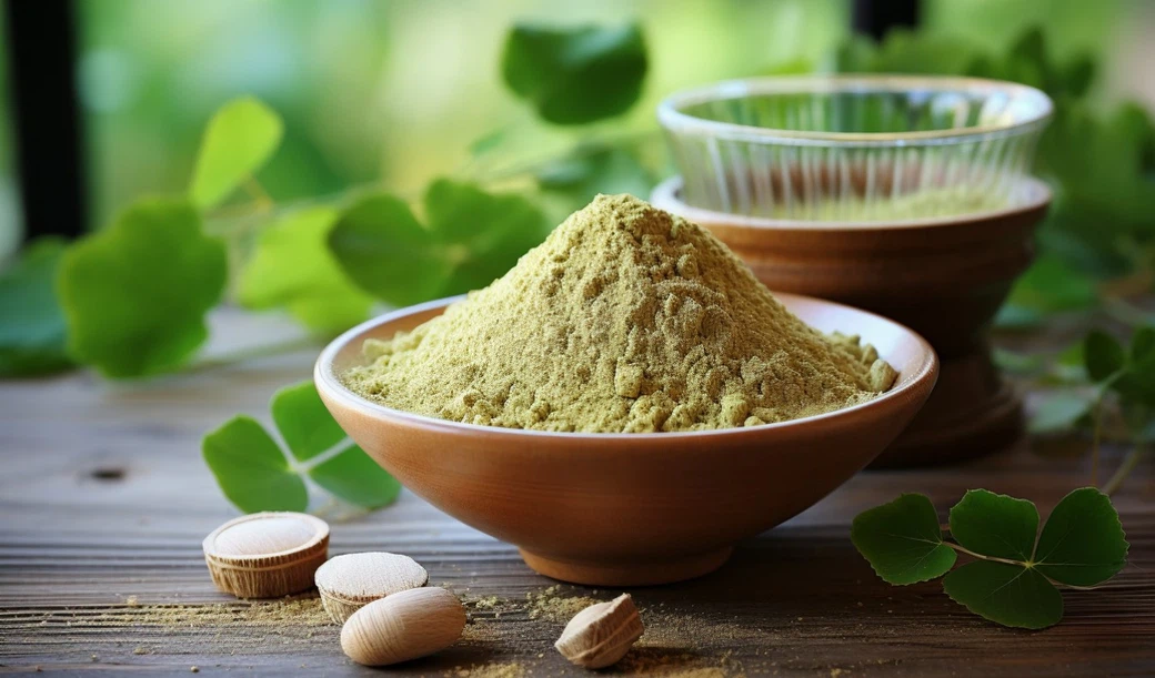 Ginkgo biloba extract powder Ginkgo biloba extract powder